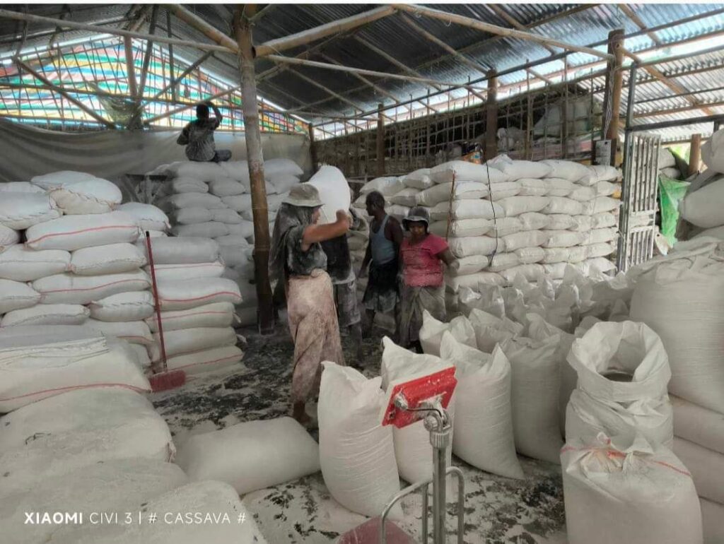 Despite being steady in price, tapioca powder sale gets high due to ...