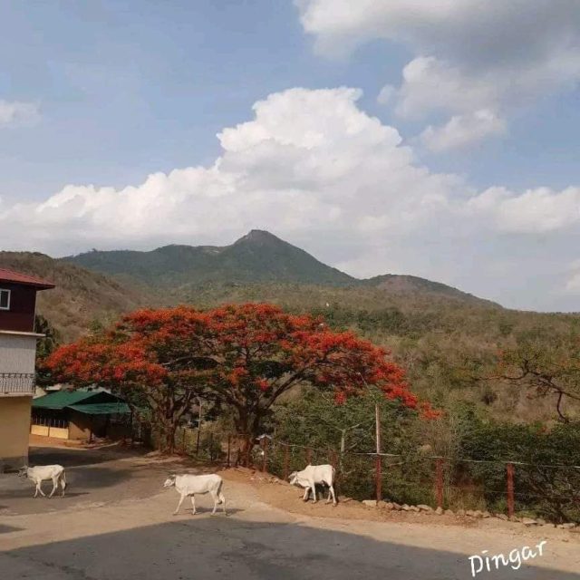 Mt Popa, seen from afar