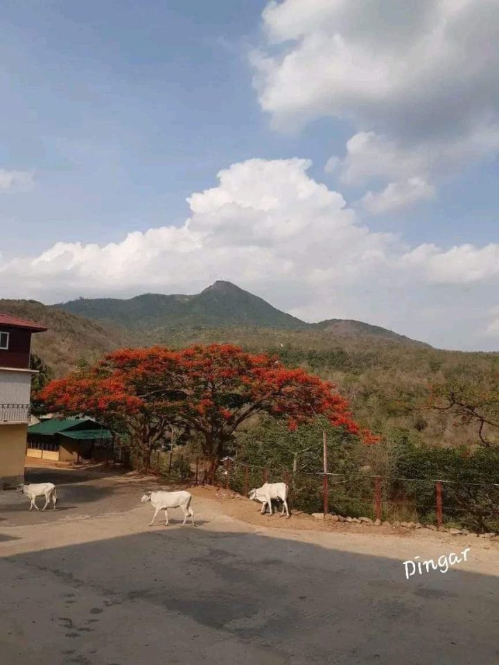 Mt Popa, seen from afar