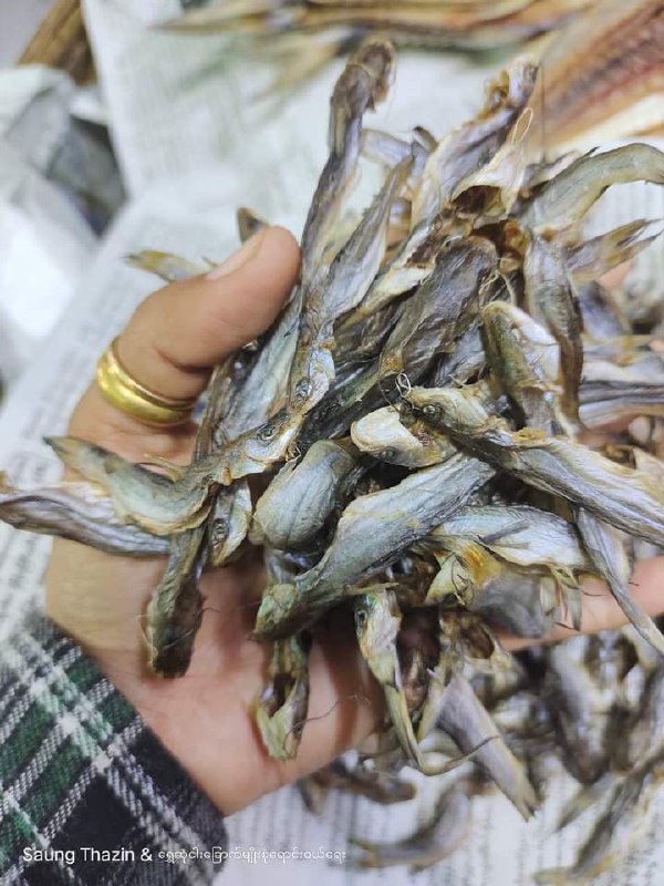 Small dried ngasinyine (striped dwarf catfish) from the Kyaikkhami area