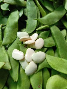 Butter beans produced from Heho