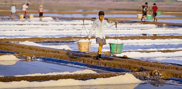 Bringing Salt Mon State salt fields begin 2025-26 preparations, early harvest could ...
