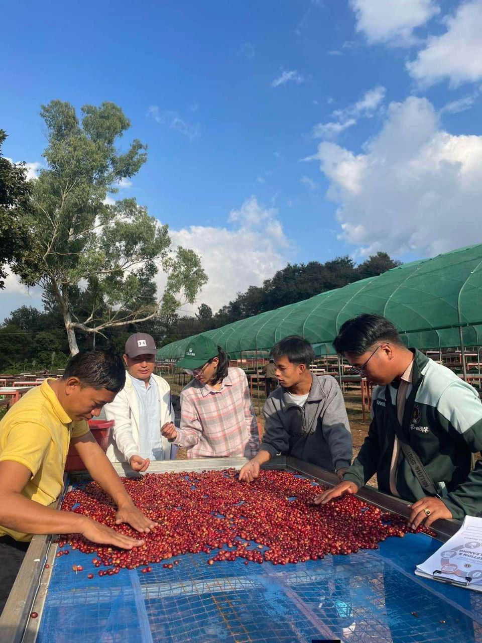 Association Coffee Course Coffee processing training courses planned in 2026 - Global New Light ...