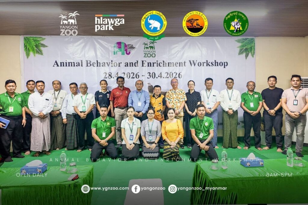 Animal workshop transforms Myanmar zoos into international-standard ...