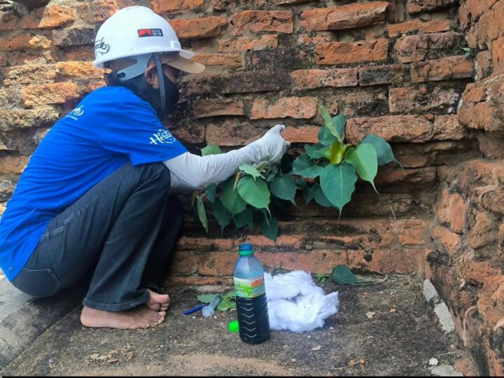 Future Bagan Accelerates Conservation of Ancient Pagodas in Bagan 1 1000011718